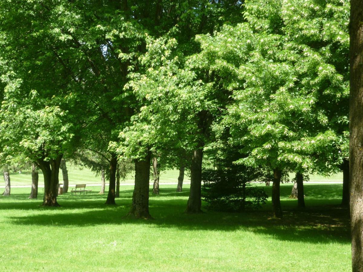 L'Oree Du Parc A بلفور المظهر الخارجي الصورة
